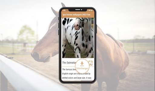 Run android online APK Horses Wallpapers 4K [Backgrounds full HD] 2020 from MyAndroid or emulate Horses Wallpapers 4K [Backgrounds full HD] 2020 using MyAndroid